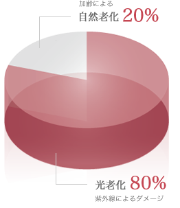 加齢による自然老化20％　紫外線による光老化80％