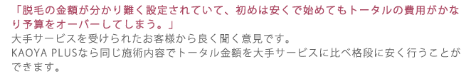 大手サービスは結局料金が高くつく